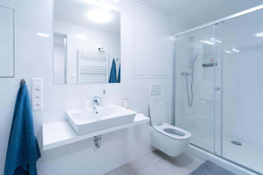City Park Apartment - Brno Exterior photo
